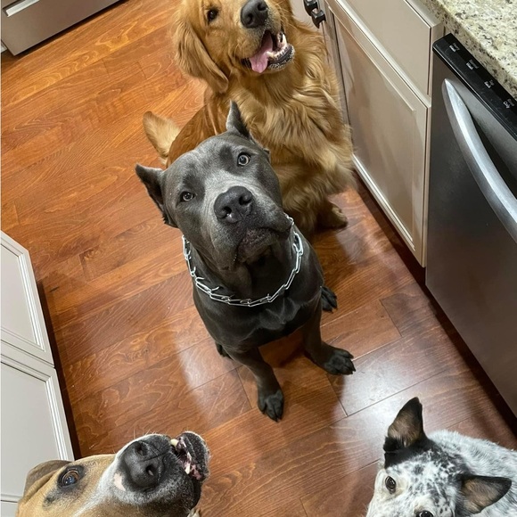 Like this flyer to be notified when I go Live! - Picture 8 of 13